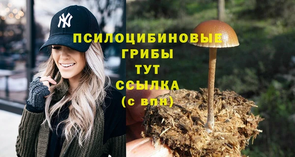 соль курить ск Воткинск
