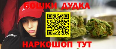 МДПВ Гусев