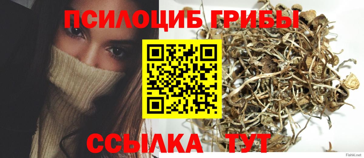 Галлюциногенные грибы MAGIC MUSHROOMS Кинель
